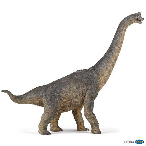 Figurine Brachiosaure Papo 55030