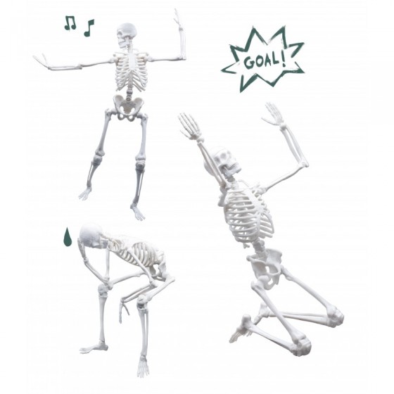 Squelette 45cm
