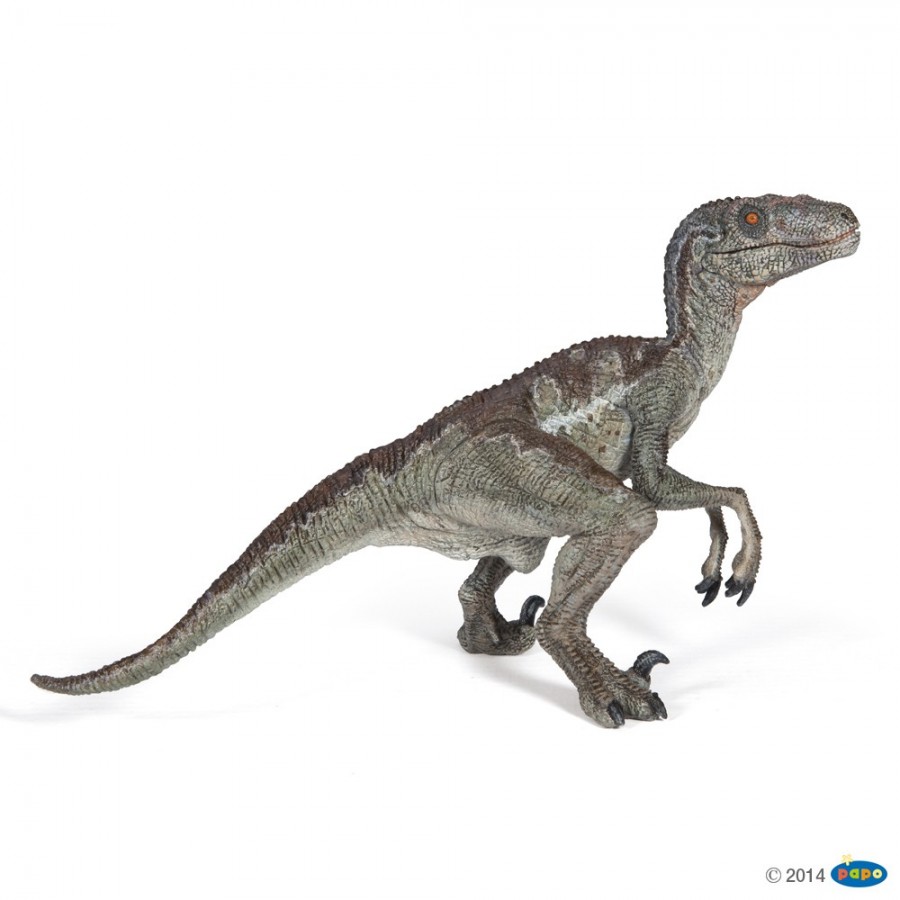 Figurine Vélociraptor Papo pour les enfants de 3 à 8 ans